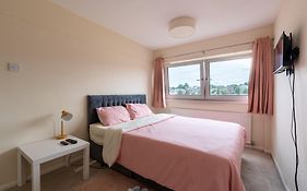 Professional House